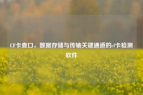CF卡查口，数据存储与传输关键通道的cf卡检测软件