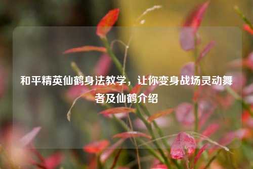 和平精英仙鹤身法教学,让你变身战场灵动舞者及仙鹤介绍