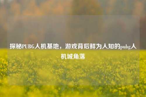 探秘PUBG人机基地，游戏背后鲜为人知的pubg人机城角落