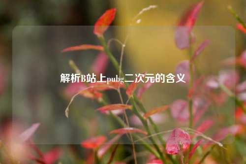 解析B站上pubg二次元的含义