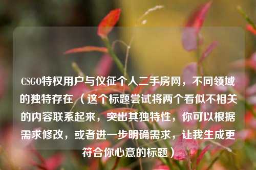 CSGO特权用户与仪征个人二手房网，不同领域的独特存在 （这个标题尝试将两个看似不相关的内容联系起来，突出其独特性，你可以根据需求修改，或者进一步明确需求，让我生成更符合你心意的标题）