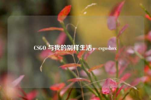 CSGO 与我的别样生活，csgoshox