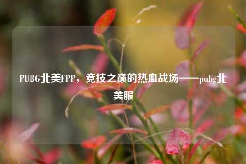 PUBG北美FPP,竞技之巅的热血战场——pubg北美服