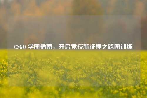CSGO 学图指南，开启竞技新征程之跑图训练