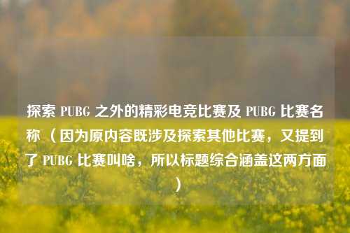 探索 PUBG 之外的精彩电竞比赛及 PUBG 比赛名称 （因为原内容既涉及探索其他比赛，又提到了 PUBG 比赛叫啥，所以标题综合涵盖这两方面）
