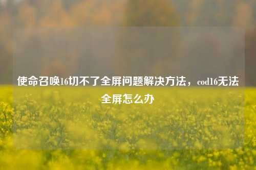使命召唤16切不了全屏问题解决方法，cod16无法全屏怎么办