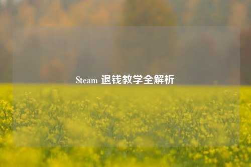 Steam 退钱教学全解析