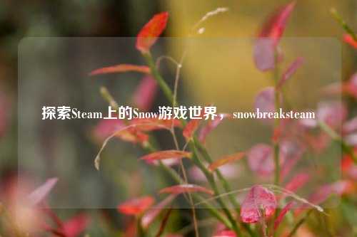 探索Steam上的Snow游戏世界，snowbreaksteam