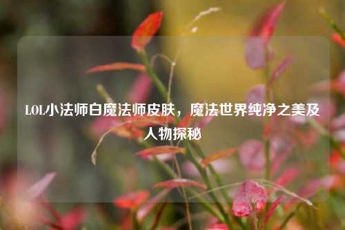LOL小法师白魔法师皮肤，魔法世界纯净之美及人物探秘