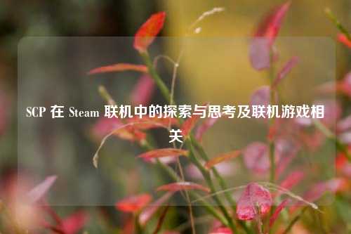 SCP 在 Steam 联机中的探索与思考及联机游戏相关