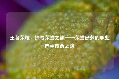 王者荣耀,探寻荣誉之巅——荣誉最多的职业选手传奇之路