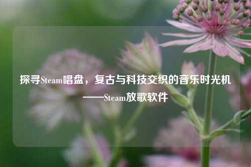 探寻Steam唱盘,复古与科技交织的音乐时光机——Steam放歌软件
