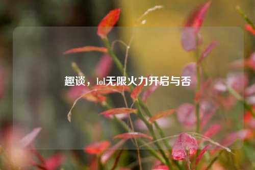趣谈，lol无限火力开启与否