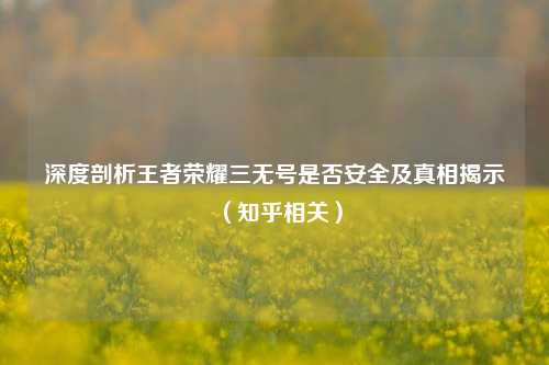 深度剖析王者荣耀三无号是否安全及真相揭示（知乎相关）