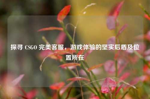探寻 CSGO 完美客服，游戏体验的坚实后盾及位置所在