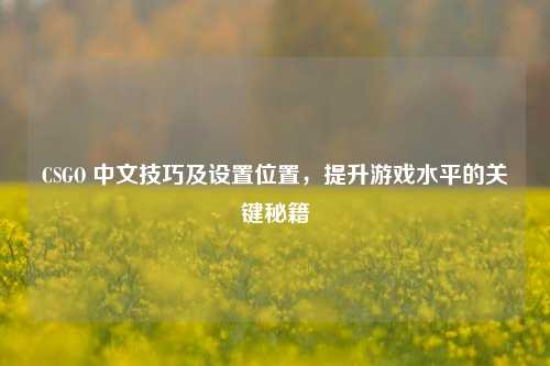CSGO 中文技巧及设置位置,提升游戏水平的关键秘籍