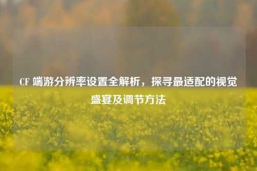 CF 端游分辨率设置全解析，探寻最适配的视觉盛宴及调节方法