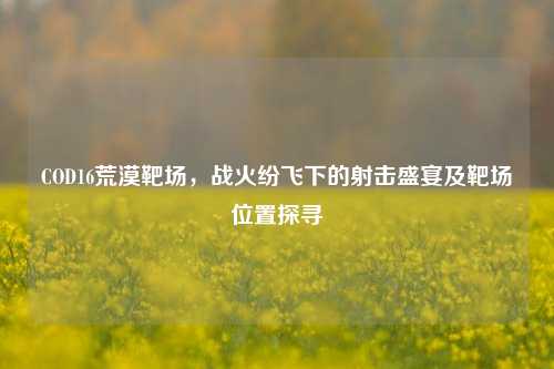 COD16荒漠靶场，战火纷飞下的射击盛宴及靶场位置探寻