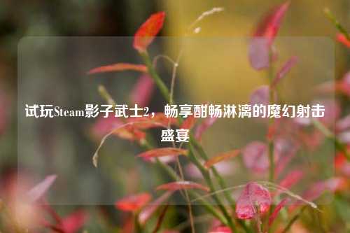 试玩Steam影子武士2，畅享酣畅淋漓的魔幻射击盛宴