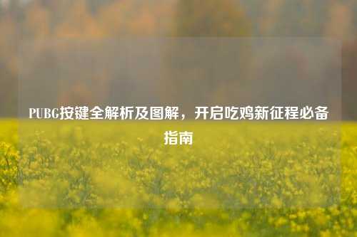 PUBG按键全解析及图解，开启吃鸡新征程必备指南