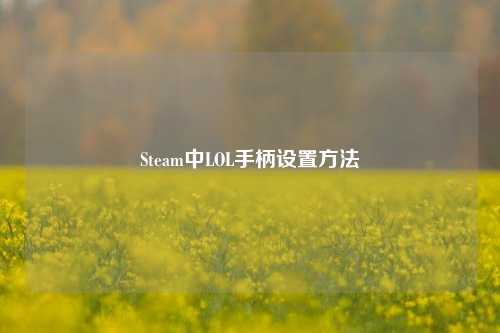 Steam中LOL手柄设置方法