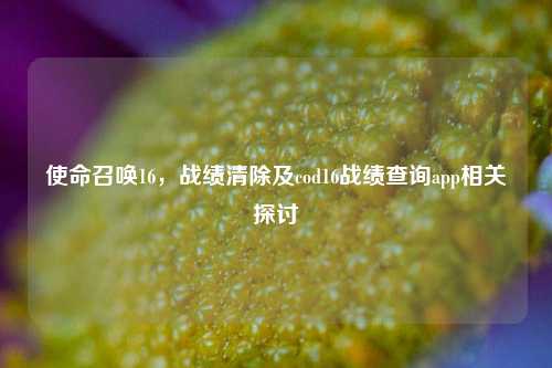 使命召唤16，战绩清除及cod16战绩查询app相关探讨