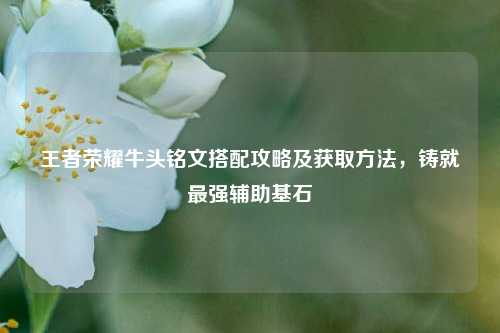王者荣耀牛头铭文搭配攻略及获取方法，铸就最强辅助基石