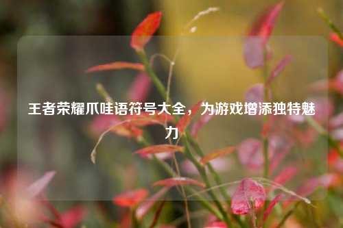 王者荣耀爪哇语符号大全，为游戏增添独特魅力