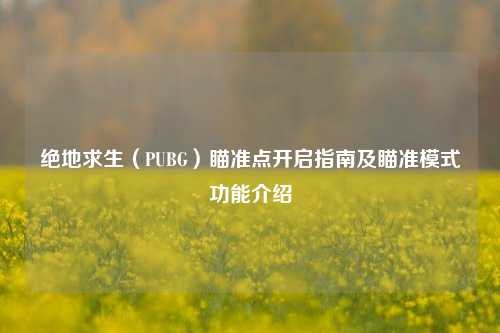 绝地求生（PUBG）瞄准点开启指南及瞄准模式功能介绍