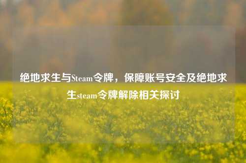 绝地求生与Steam令牌，保障账号安全及绝地求生steam令牌解除相关探讨