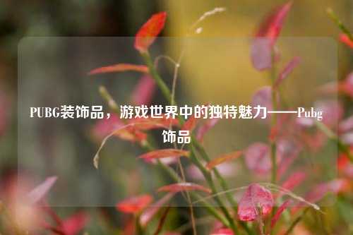 PUBG装饰品，游戏世界中的独特魅力——Pubg饰品