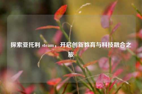 探索亚托利 steam，开启创新教育与科技融合之旅