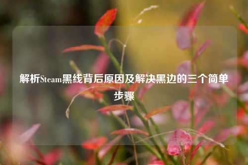 解析Steam黑线背后原因及解决黑边的三个简单步骤