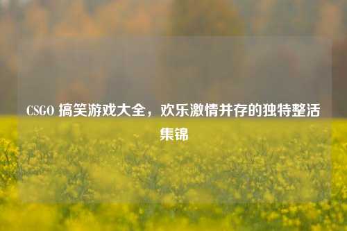 CSGO 搞笑游戏大全，欢乐激情并存的独特整活集锦