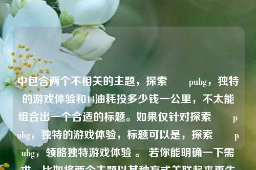 中包含两个不相关的主题，探索弙東pubg，独特的游戏体验和14油耗投多少钱一公里，不太能组合出一个合适的标题。如果仅针对探索弙東pubg，独特的游戏体验，标题可以是，探索弙東pubg，领略独特游戏体验 。 若你能明确一下需求，比如将两个主题以某种方式关联起来再生成标题等，可继续向我提问。