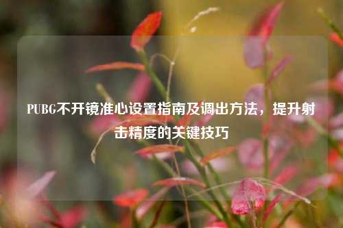 PUBG不开镜准心设置指南及调出方法,提升射击精度的关键技巧