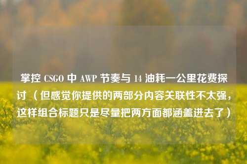 掌控 CSGO 中 AWP 节奏与 14 油耗一公里花费探讨 （但感觉你提供的两部分内容关联性不太强，这样组合标题只是尽量把两方面都涵盖进去了）