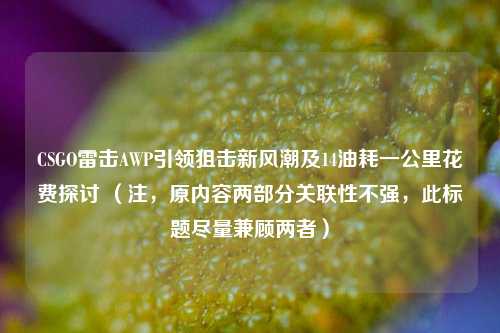 CSGO雷击AWP引领狙击新风潮及14油耗一公里花费探讨 （注，原内容两部分关联性不强，此标题尽量兼顾两者）
