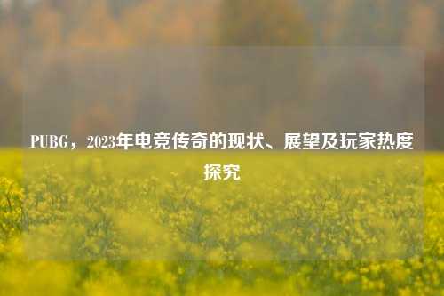 PUBG，2023年电竞传奇的现状、展望及玩家热度探究