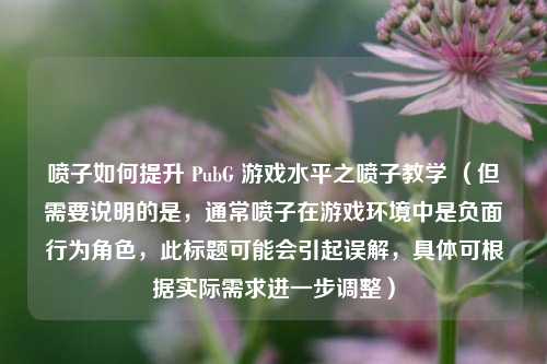 喷子如何提升 PubG 游戏水平之喷子教学 （但需要说明的是，通常喷子在游戏环境中是负面行为角色，此标题可能会引起误解，具体可根据实际需求进一步调整）