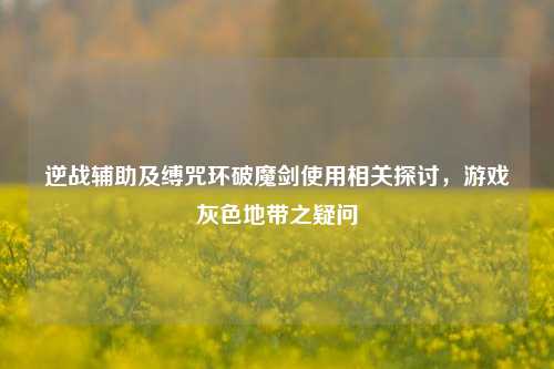 逆战辅助及缚咒环破魔剑使用相关探讨，游戏灰色地带之疑问