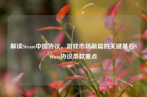 解读Steam中国协议,游戏市场新篇的关键基石Steam协议条款重点