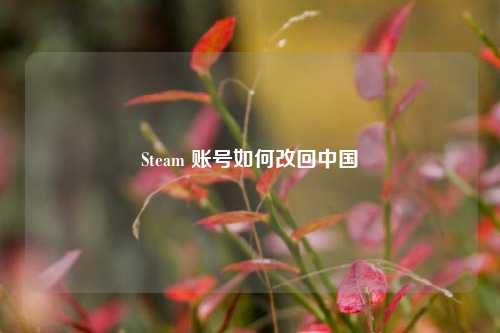 Steam 账号如何改回中国