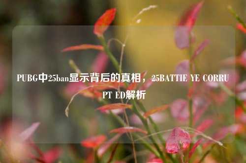 PUBG中25ban显示背后的真相，25BATTIE YE CORRU PT ED解析