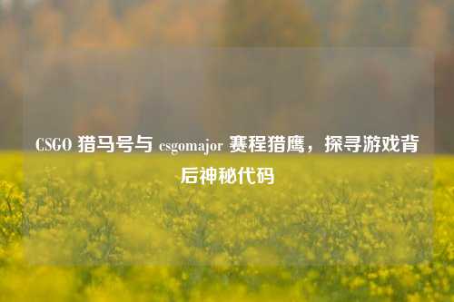 CSGO 猎马号与 csgomajor 赛程猎鹰，探寻游戏背后神秘代码