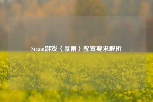 Steam游戏〈暴雨〉配置要求解析