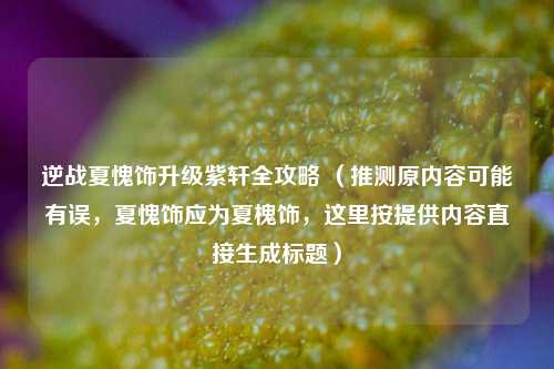 逆战夏愧饰升级紫轩全攻略 (推测原内容可能有误,夏愧饰应为夏槐饰,这里按提供内容直接生成标题)