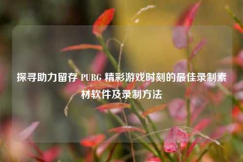 探寻助力留存 PUBG 精彩游戏时刻的最佳录制素材软件及录制方法