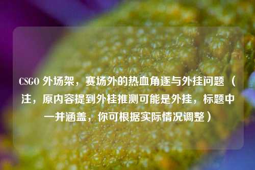 CSGO 外场架,赛场外的热血角逐与外挂问题 (注,原内容提到外桂推测可能是外挂,标题中一并涵盖,你可根据实际情况调整)