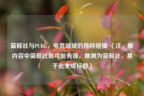 蓝鲸社与PUBG，电竞领域的独特碰撞 （注，原内容中蓝鲸社区可能有误，推测为蓝鲸社，基于此生成标题）